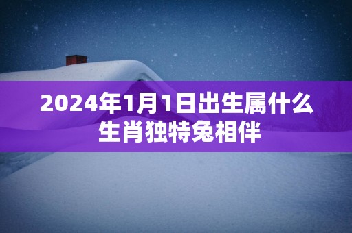 2024年1月1日出生属什么 生肖独特兔相伴