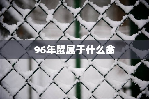 96年鼠属于什么命