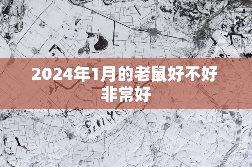 2025年1月的老鼠好不好 非常好
