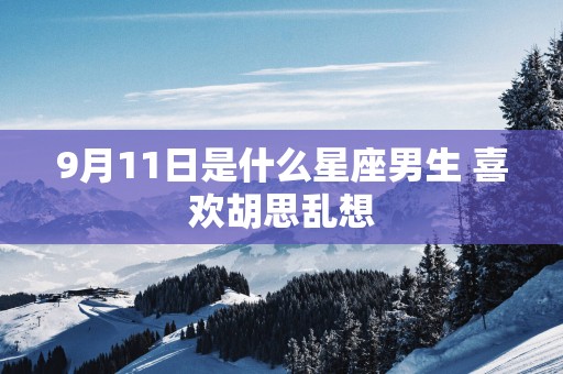 9月11日是什么星座男生 喜欢胡思乱想
