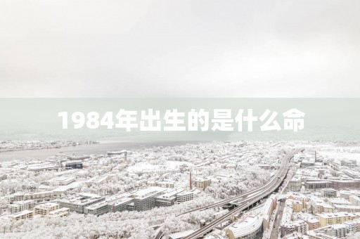 1984年出生的是什么命