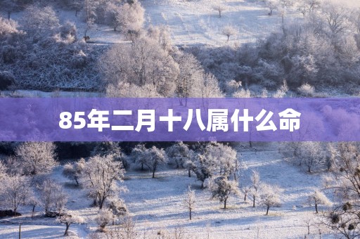 85年二月十八属什么命
