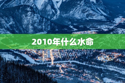 2010年什么水命