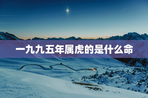一九九五年属虎的是什么命