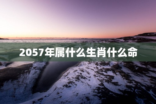 2057年属什么生肖什么命