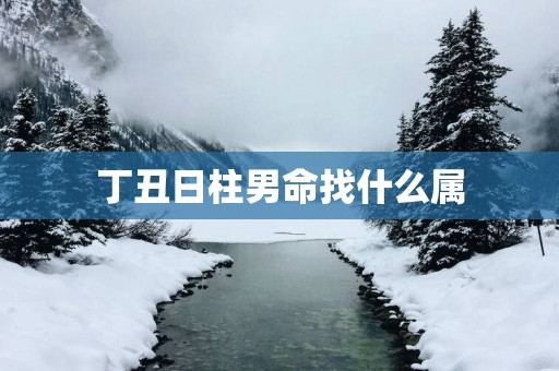 丁丑日柱男命找什么属