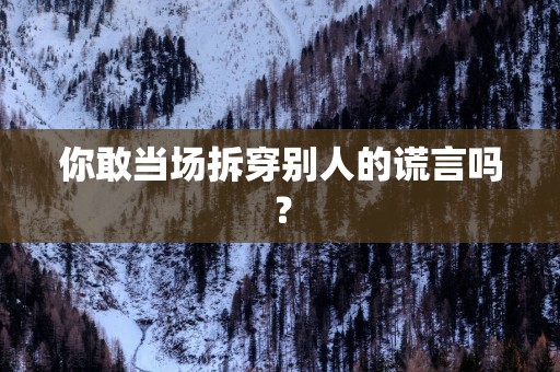 你敢当场拆穿别人的谎言吗？