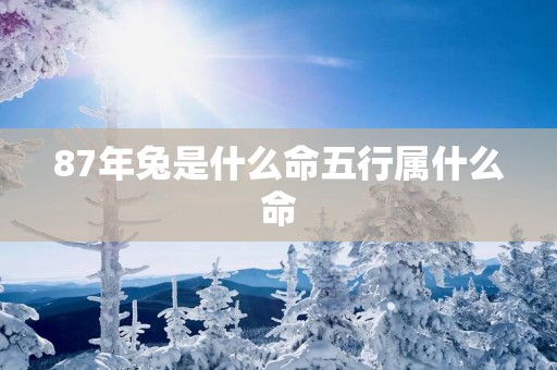 87年兔是什么命五行属什么命