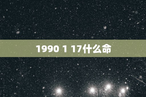 1990 1 17什么命