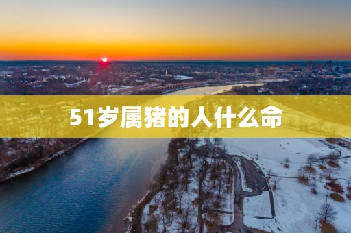 51岁属猪的人什么命