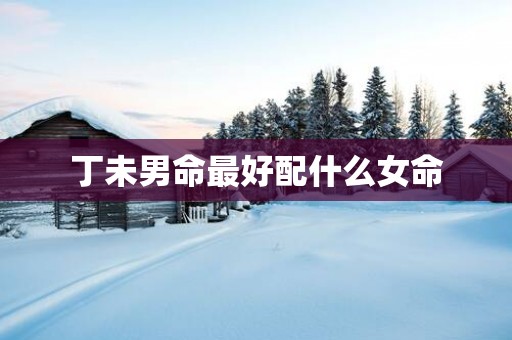 丁未男命最好配什么女命