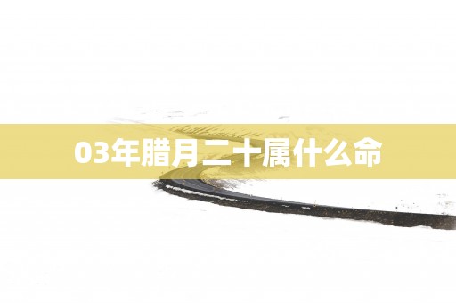 03年腊月二十属什么命