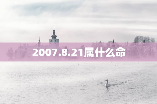2007.8.21属什么命