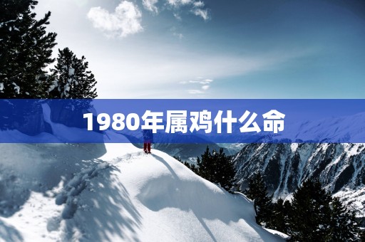 1980年属鸡什么命