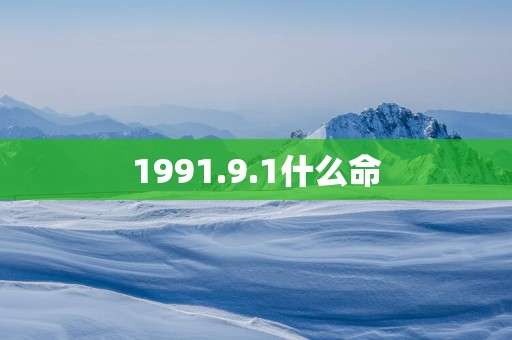 1991.9.1什么命