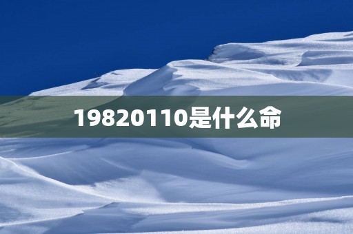 19820110是什么命