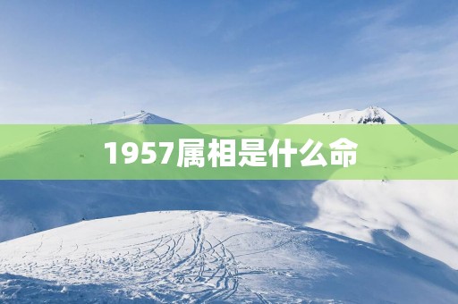 1957属相是什么命