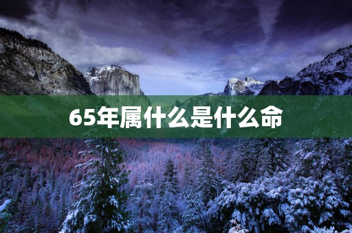 65年属什么是什么命