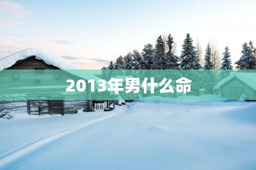 2013年男什么命