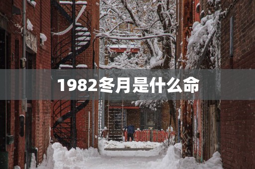 1982冬月是什么命
