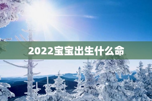 2022宝宝出生什么命