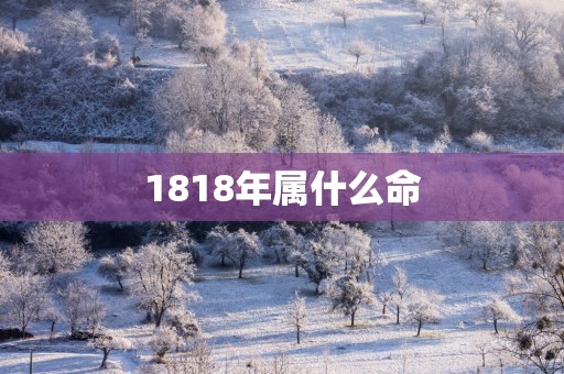 1818年属什么命