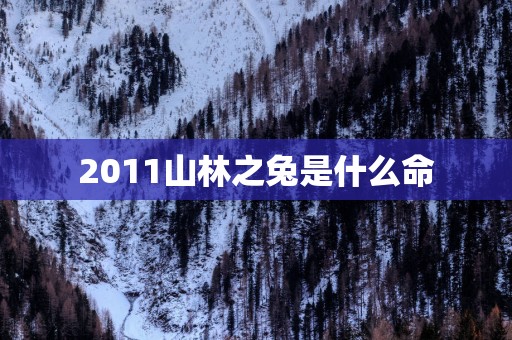 2011山林之兔是什么命