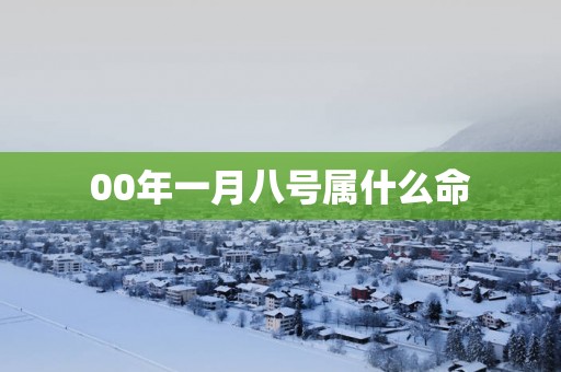 00年一月八号属什么命