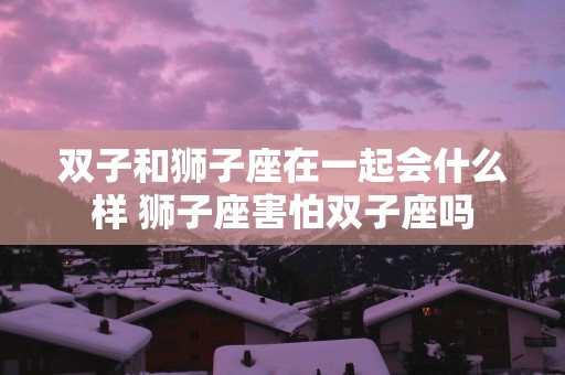 双子和狮子座在一起会什么样 狮子座害怕双子座吗