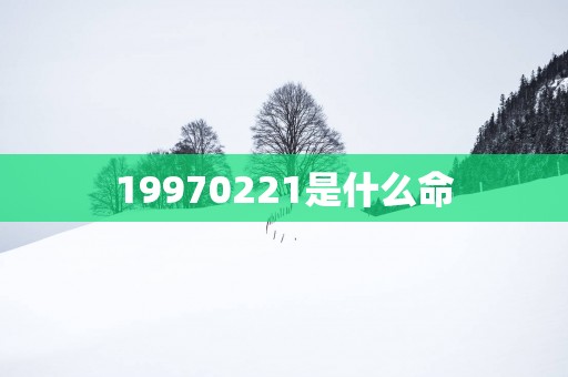 19970221是什么命
