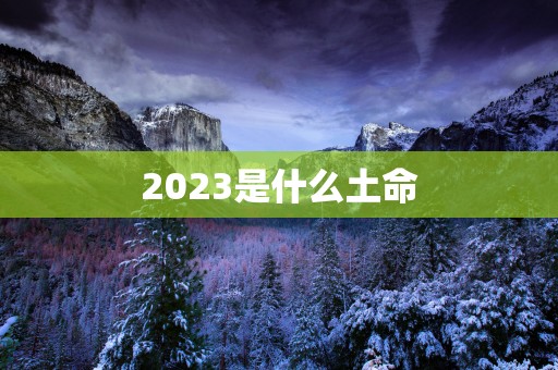 2025是什么土命