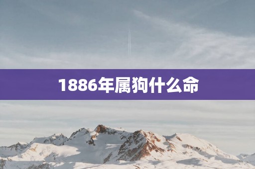 1886年属狗什么命