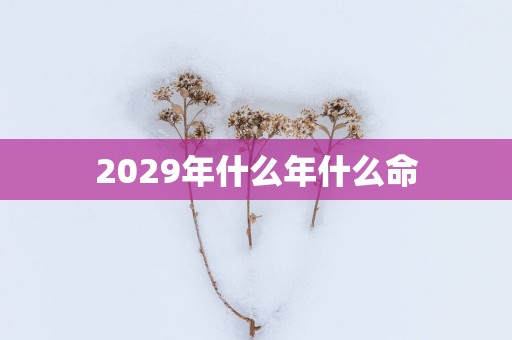 2029年什么年什么命