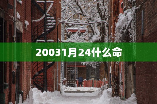 20031月24什么命