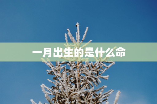 一月出生的是什么命