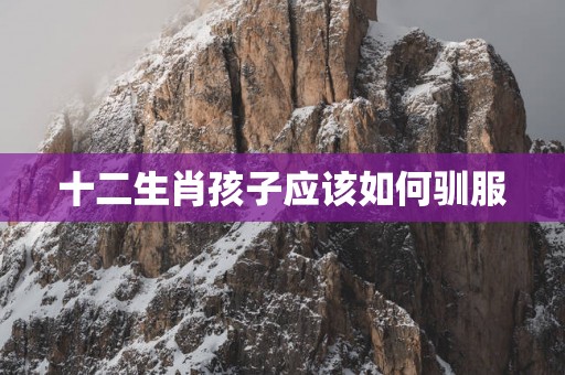 十二生肖孩子应该如何驯服