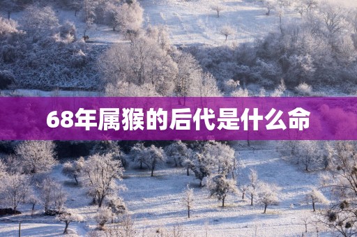 68年属猴的后代是什么命