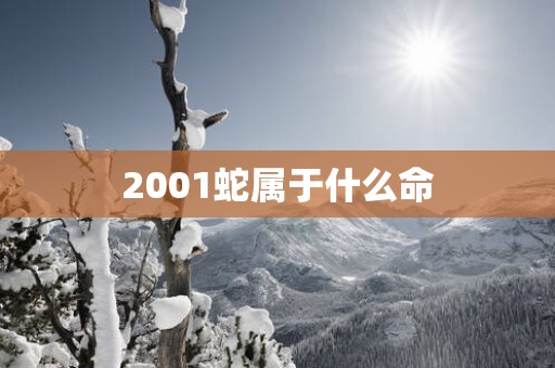 2001蛇属于什么命