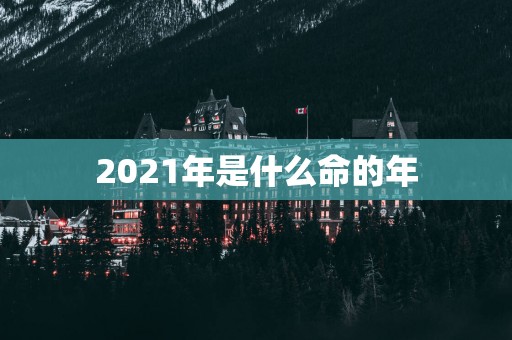 2025年是什么命的年
