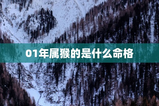 01年属猴的是什么命格