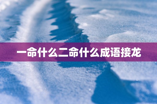 一命什么二命什么成语接龙