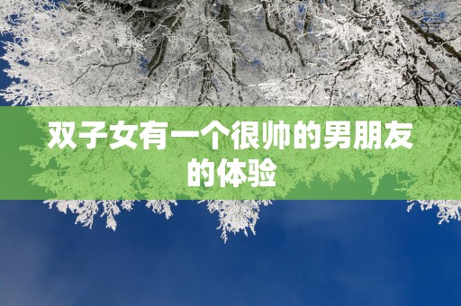 双子女有一个很帅的男朋友的体验