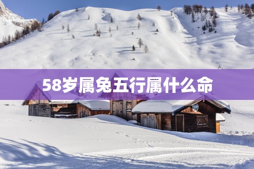 58岁属兔五行属什么命