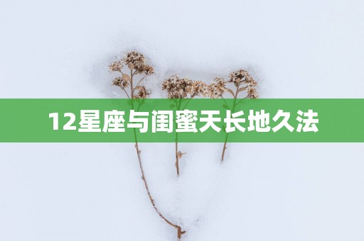 12星座与闺蜜天长地久法