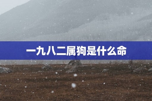 一九八二属狗是什么命