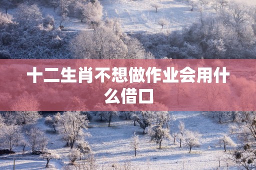 十二生肖不想做作业会用什么借口