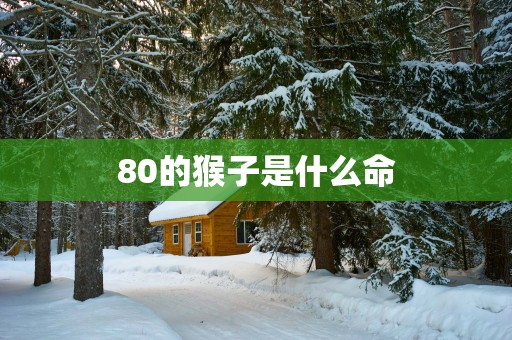 80的猴子是什么命