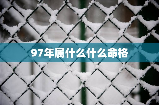 97年属什么什么命格