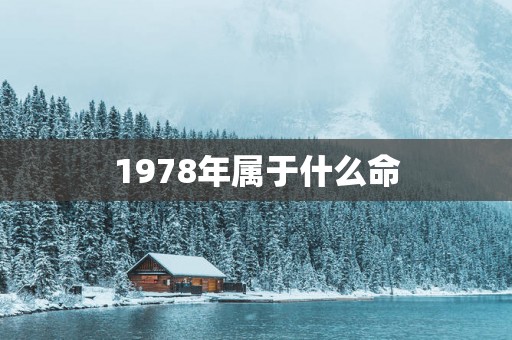 1978年属于什么命