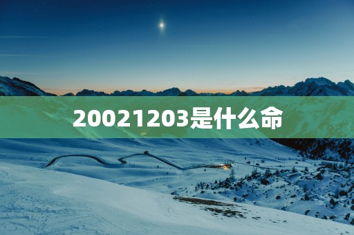 20021203是什么命